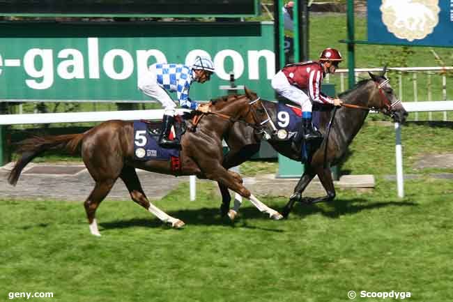 26/06/2011 - Saint-Cloud - Coupe d'Europe des Chevaux Arabe : Arrivée