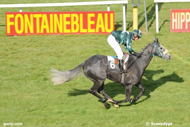 26/10/2011 - Fontainebleau - Prix des Saules : Result