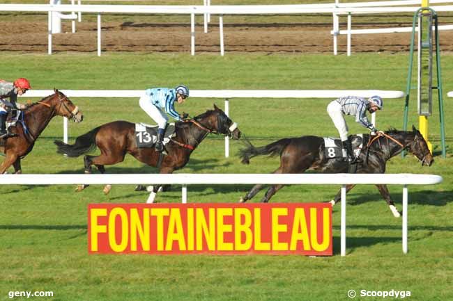 28/10/2011 - Fontainebleau - Prix du Centre Sportif d'Equitation Militaire : Arrivée