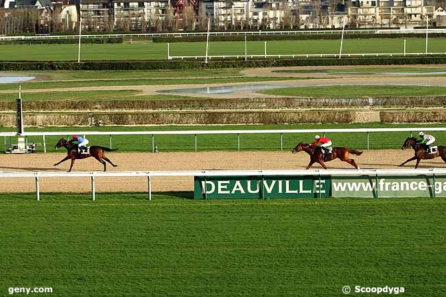 06/01/2012 - Deauville - Prix des Commeaux : Result