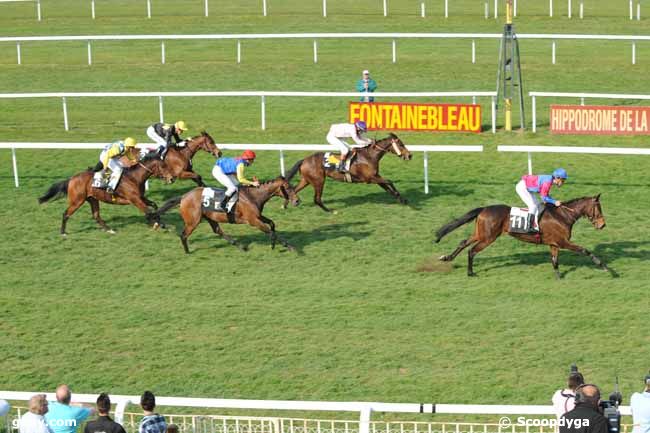 30/03/2012 - Fontainebleau - Prix des Amateurs : Result