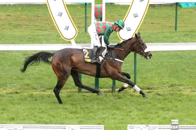 04/05/2012 - Compiègne - Prix des Andelys : Arrivée