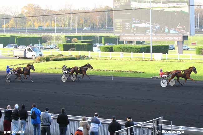 27/11/2013 - Vincennes - Prix d'Angles : Ankunft