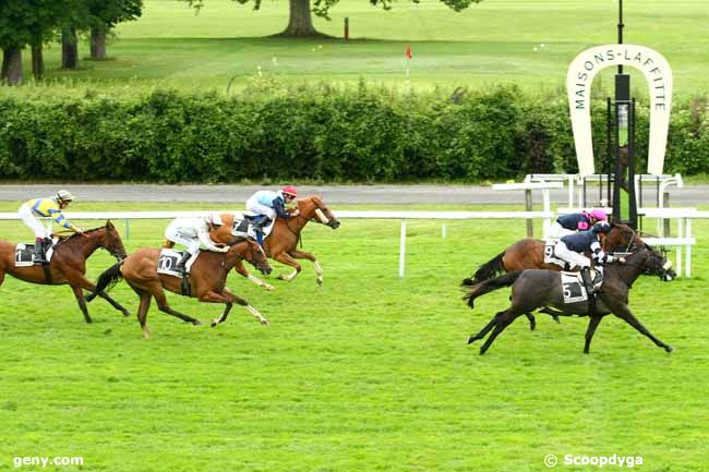 10/07/2014 - Maisons-Laffitte - Prix de Saint-Germain-en-Laye : Ankunft