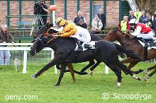 13/11/2025 - Fontainebleau - Prix du Bois Notre-Dame: Arrivée