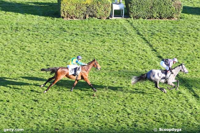 26/02/2019 - Auteuil - Prix Oiseleur : Arrivée