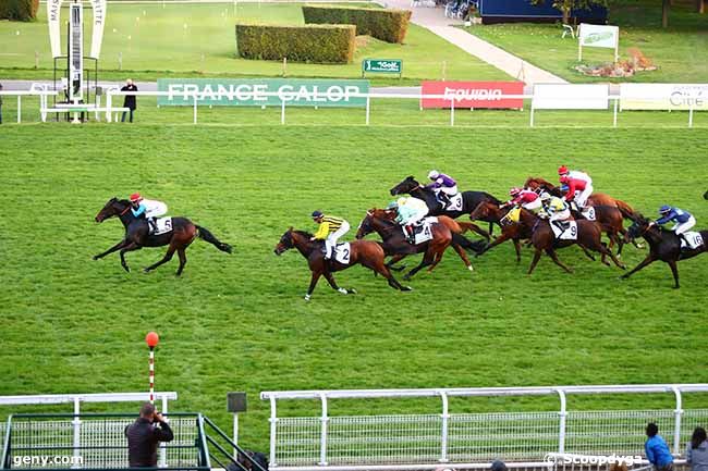 12/10/2019 - Maisons-Laffitte - Prix de Tursan : Arrivée