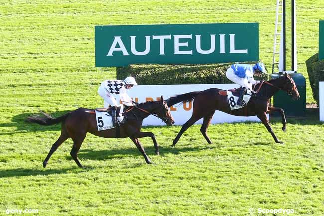 06/11/2021 - Auteuil - Prix Coq Gaulois : Arrivée