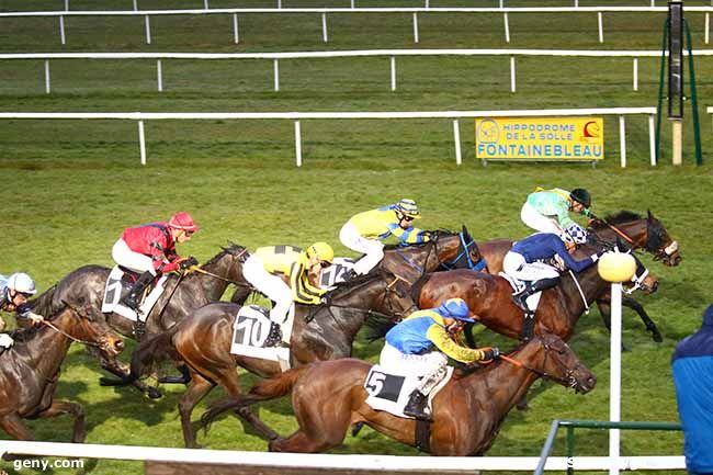 11/03/2022 - Fontainebleau - Prix des Charmes : Arrivée