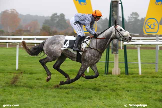 06/12/2022 - Fontainebleau - Prix du Massif Forestier : Arrivée