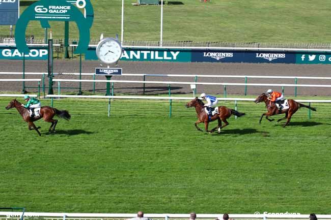 28/09/2023 - Chantilly - Prix de la Mare Aux Oiseaux : Arrivée