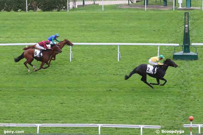 10/11/2023 - Saint-Cloud - Prix Banksee : Arrivée