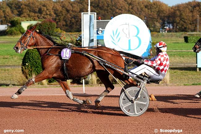 15/11/2023 - Bordeaux-Le Bouscat - Prix Jean-François Maury : Arrivée