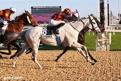 17/02/2024 - Cagnes-sur-Mer - Prix de la Promenade de la Plage (Prix des Gorges du Loup) : Arrivée