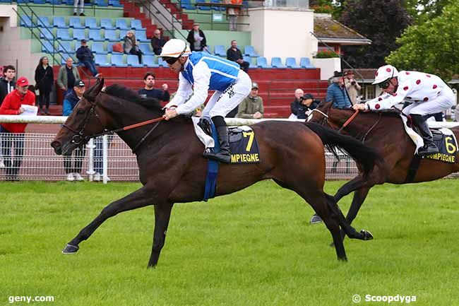 31/05/2024 - Compiègne - Prix de Bethisy Saint-Martin : Arrivée