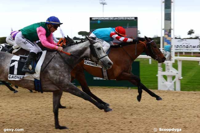 20/01/2025 - Cagnes-sur-Mer - Prix des Orangers : Arrivée