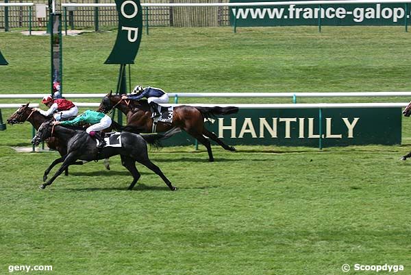 21/06/2007 - Chantilly - Prix du Labyrinthe : Result