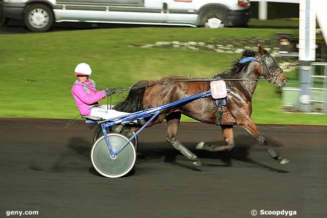 02/11/2010 - Vincennes - Prix Angelina : Result