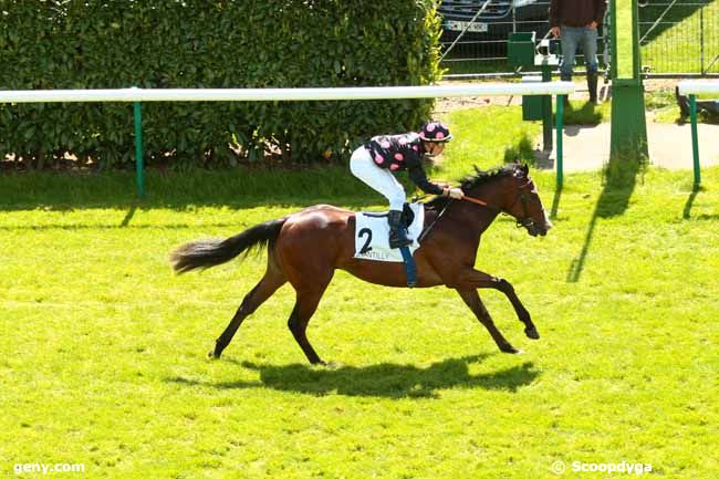 13/05/2014 - Chantilly - Prix de la Croix des Veneurs : Result