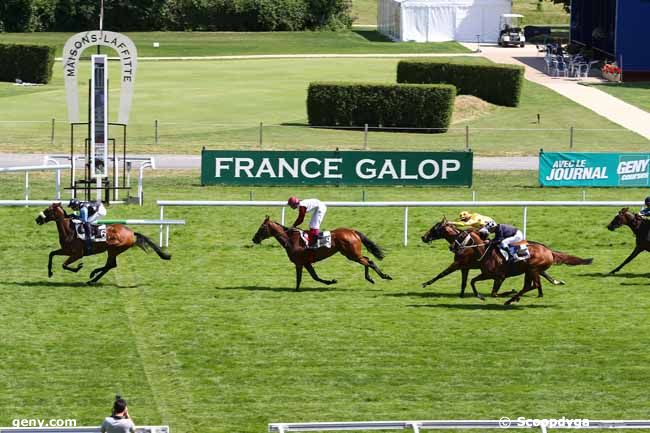 24/06/2014 - Maisons-Laffitte - Prix de la Croix de Noailles : Arrivée