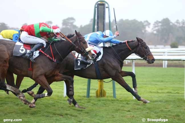 27/11/2015 - Fontainebleau - Prix de la Grotte des Ermites : Arrivée