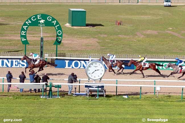 24/02/2017 - Chantilly - Prix de la Route de Condé : Result