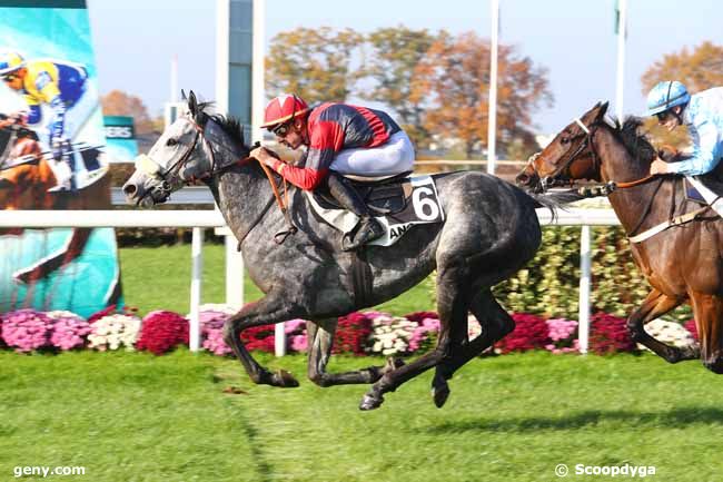 14/11/2018 - Angers - Prix Lord Magique : Arrivée