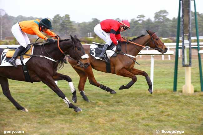 19/02/2019 - Fontainebleau - Prix du Mont Chauvet : Arrivée