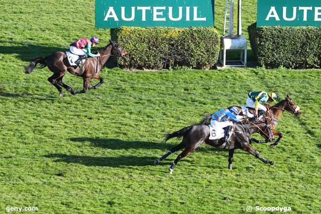 26/02/2019 - Auteuil - Prix Tofano : Arrivée