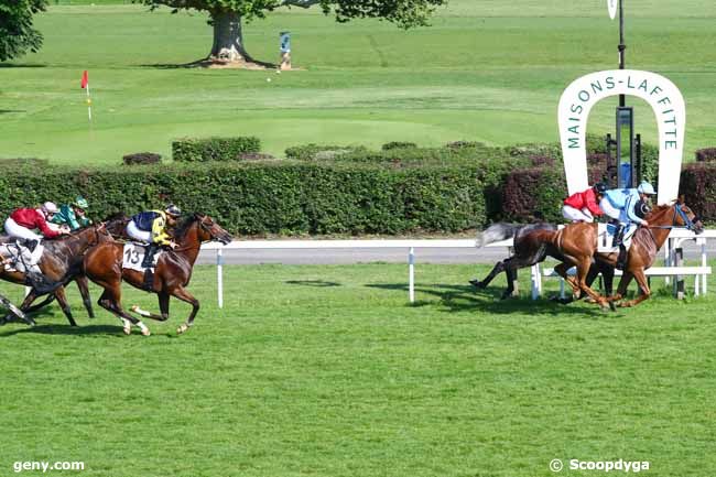 31/05/2019 - Maisons-Laffitte - Prix My Love : Arrivée