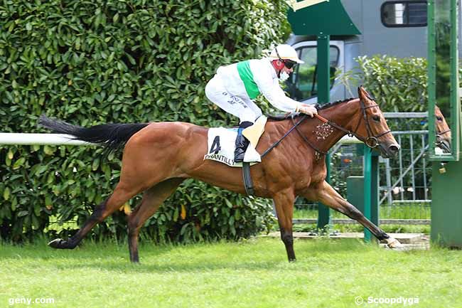 17/05/2021 - Chantilly - Prix Texanita : Arrivée