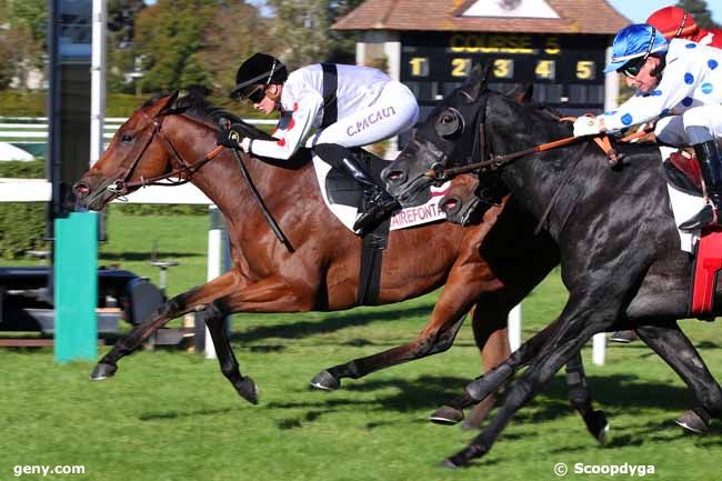 16/10/2023 - Clairefontaine-Deauville - Prix de Beneauville : Arrivée