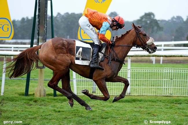 12/03/2024 - Fontainebleau - Prix de la Tillaie : Arrivée