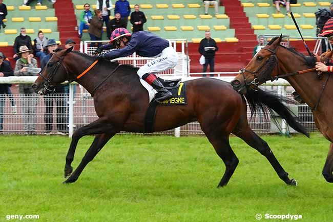 31/05/2024 - Compiègne - Prix de la Clairiere de l'Armistice : Arrivée