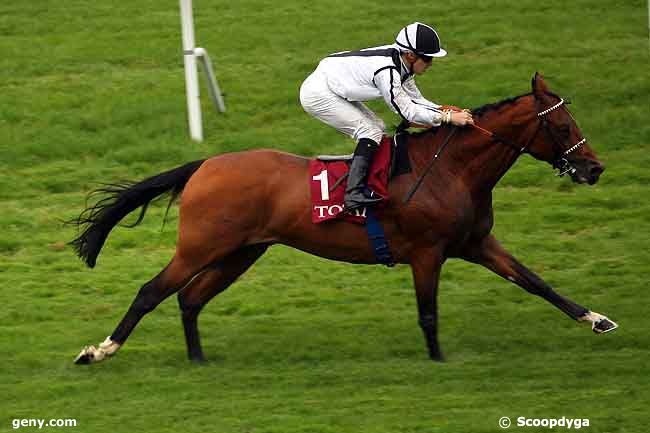 01/10/2010 - Saint-Cloud - Prix Qatar Total French Arabian Breeders' Challenge : Arrivée