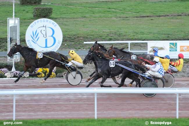 17/11/2010 - Bordeaux-Le Bouscat - Prix de Toulouse : Result