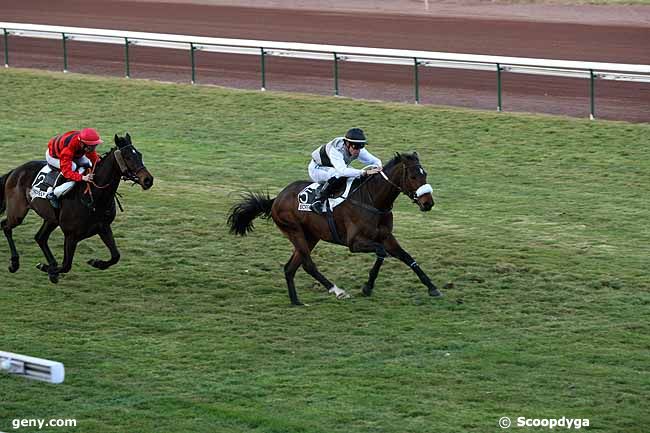 27/02/2012 - Marseille-Borély - Prix Daniel Rossio : Arrivée