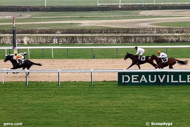 02/03/2012 - Deauville - Prix d'Alderney : Arrivée