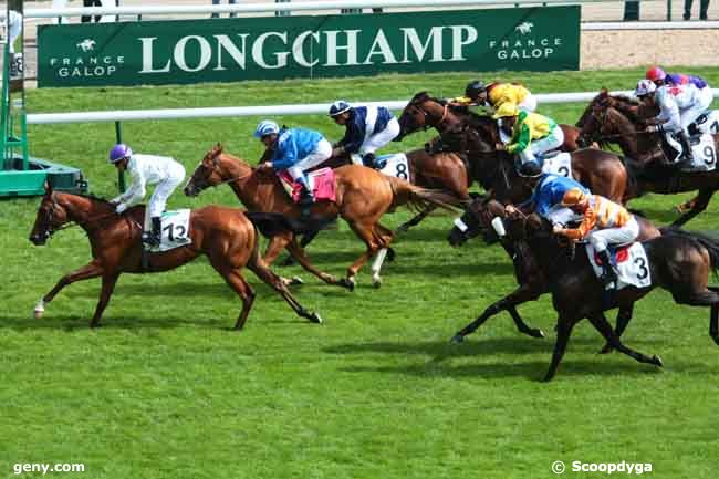 01/09/2013 - ParisLongchamp - Grand Handicap des Flyers : Ankunft