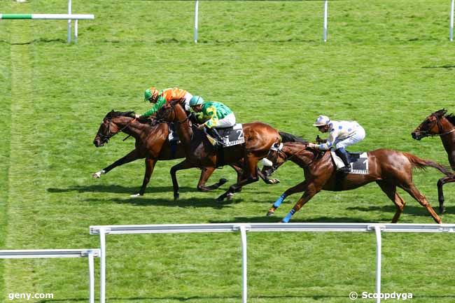 24/06/2014 - Maisons-Laffitte - Prix de la Forêt de Marly : Arrivée