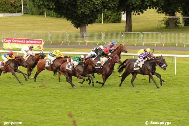 06/07/2014 - Maisons-Laffitte - Prix de la Ville du Pecq : Ankunft