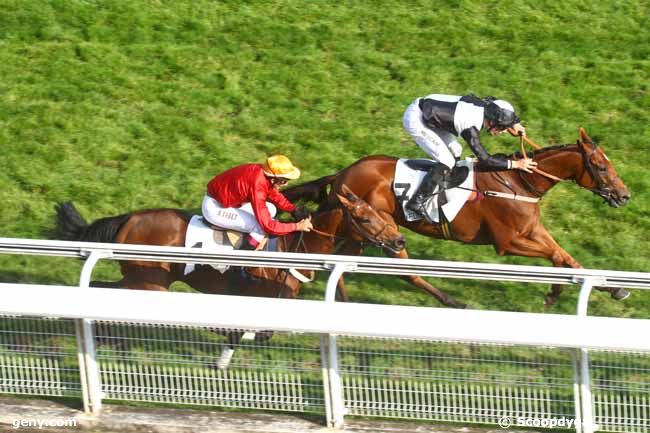 23/09/2014 - Auteuil - Prix Chakhansoor : Arrivée