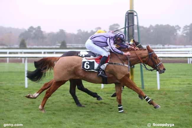 27/11/2015 - Fontainebleau - Prix Dix Cors Royal : Arrivée