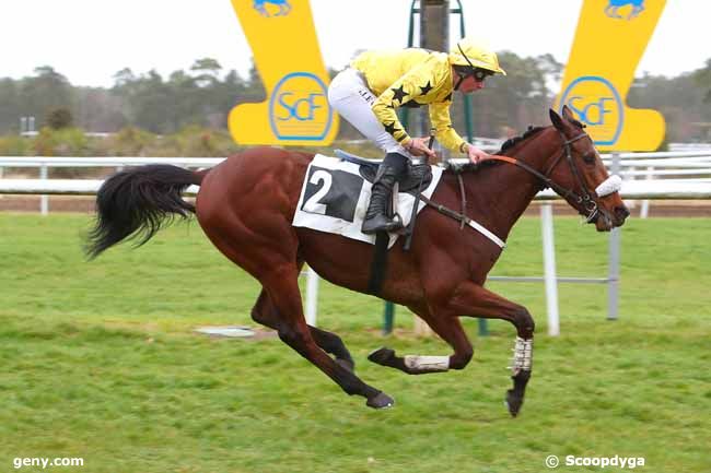 22/02/2022 - Fontainebleau - Prix de la Communauté d'Agglomération du Pays de Fontainebleau : Arrivée