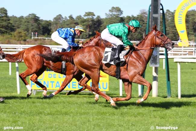 12/09/2022 - Fontainebleau - Prix des Bosquets : Ankunft