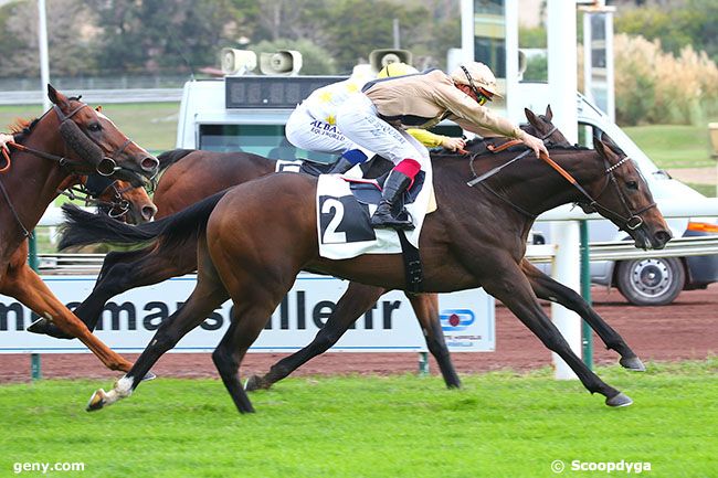 24/10/2022 - Marseille-Borély - Prix Alfred Rabaud : Arrivée