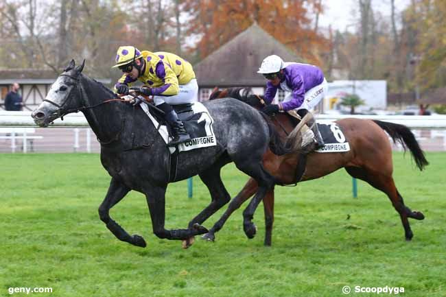 30/11/2022 - Compiègne - Prix Léopold d'Orsetti- Grande Course de Haies de Compiègne : Arrivée