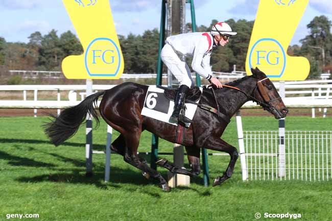 20/11/2024 - Fontainebleau - Prix de Barbizon : Result