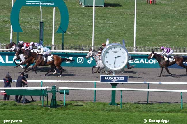 27/03/2025 - Chantilly - Prix de la Fu Madame : Arrivée