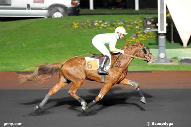 25/11/2008 - Vincennes - Prix Pomona : Ankunft